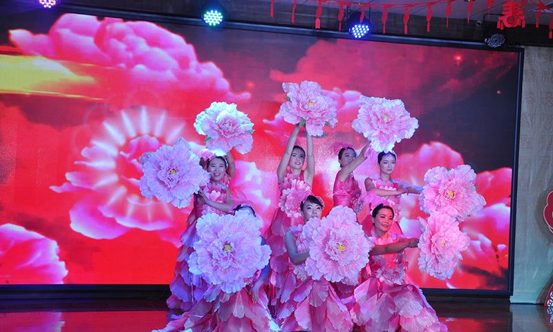 龙跃人生就是搏中国区-花开盛世——2016年度文艺汇演